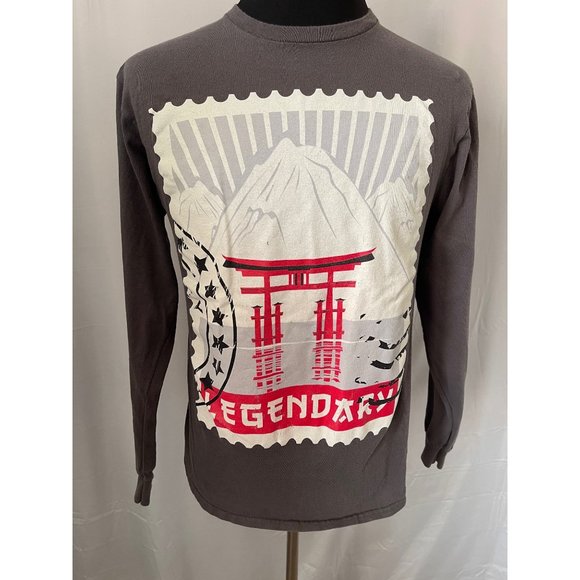 Legendary Gray Long Sleeve Graphic Tee - Picture 8 of 15